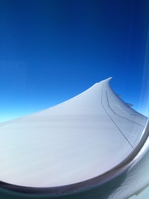 787WindowView1