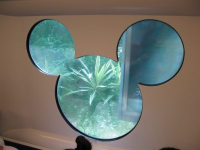 DisneyTrainWindow